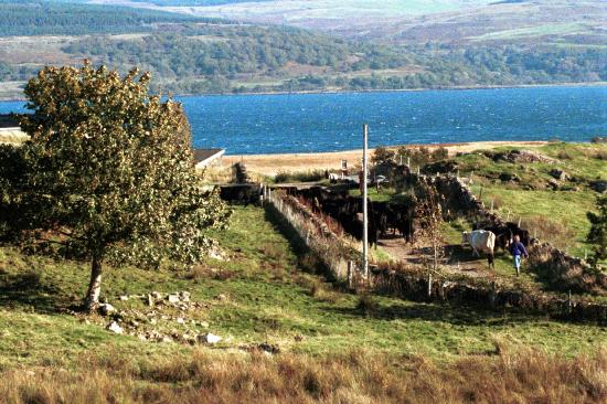Ardnacross